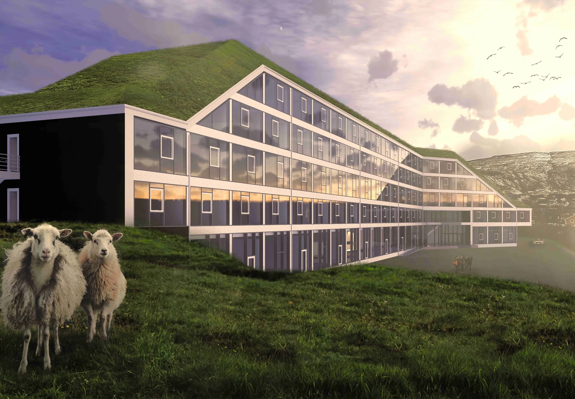 Hilton Garden Inn Faroe Islands — its grass-roofed, glass-fronted façade set into a green hillside above Tórshavn at dusk, with Faroese sheep grazing in the foreground